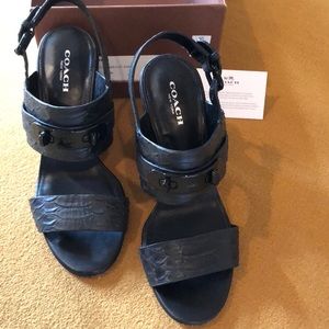 Coach designer shoes